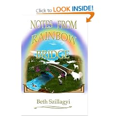 Notes from Rainbow Bridge