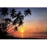 Brewster Wallcovering 8-030 Tropical Sunset 8 panel mural with paste 12
