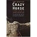 The Death of Crazy Horse: A Tragic Episode in Lakota History
