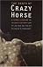 The Death of Crazy Horse: A Tragic Episode in Lakota History