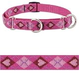 Lupine Puppy Love 3/4 in Combo Collar (19in - 27in)