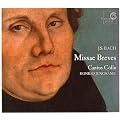 Bach - Missae Breves