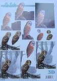 A4 3D step by step Le Suh decoupage sheet - owls
