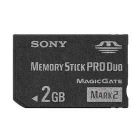 Sony - MSMT2GN - Carte m�moire - Memory Stick Duo Pro - 2 Go