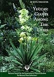 Yuccas : giants among the lillies
