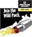 Remus Wild Label Exhaust Honda Civic Type-R / 3 / Single w/1 round polished tip 02-up Remus