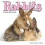 RABBITS 2010 Wall Calendar #30129-10