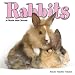 RABBITS 2010 Wall Calendar #30129-10