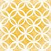 Green Frog Art Modern Symmetry Series Canvas Gallery Wrapped Art, Chai