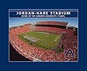 Auburn Tigers Stadium Puzzle