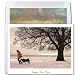Health & Personal Care : New Year Friends - New Year Holiday Cards, Box of 10 cards and envelopes