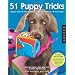 Some Fantastic Clicker Dog Training Reads