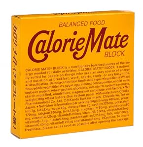 大塚製薬 カロリーメイト ブロック チョコレート 4本×10個