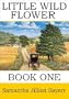 Little Wild Flower, Book 1 (Little Wild Flower, An Amish Christian Romance)