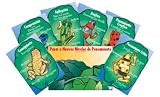 Interactive Thinking Skills Poster Set- Rainforest Frogs SPANISH Interactive Thinking Skills Poster Set- Rainforest Frogs SPANISH