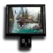 River Eagles Premium Decorative Night Light