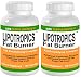Healthy Diet A Guide to Weight Loss 2 BOTTLES Lipotropics Fat Burner 360 total Capsules Weight Loss Diet Pills Fat Burner L-Carnitine KRK SUPPLEMENTS
