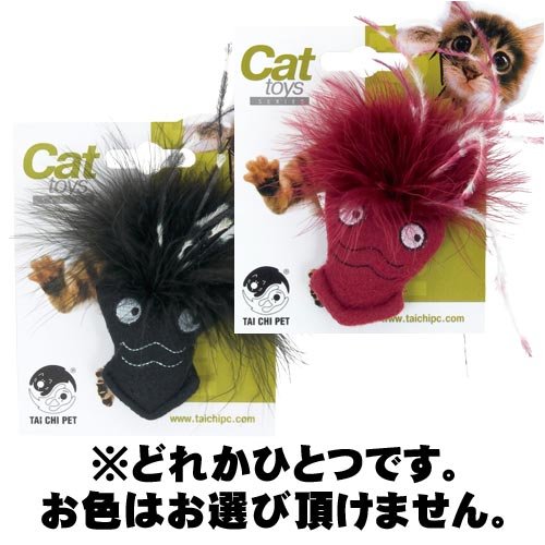 プラッツ　ワイルドキャット　キティスクイッド　TC81504