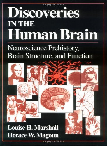 Discoveries in the Human Brain: Neuroscience Prehistory, Brain Structure, and Function