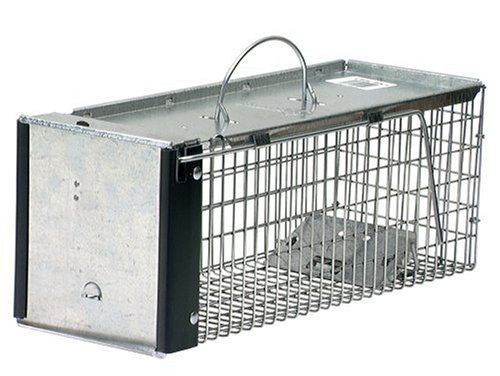 Havahart 0745 Professional Style One Door Cage Trap for Chipmunks and Rodents 16 x 6 x 6.38