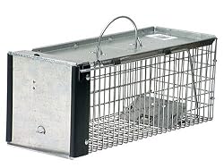 Havahart 0745 Live Animal Professional Style One-Door Chimpunk, Squirrel, Rat, and Weasel Trap