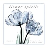 Flower Spirits 2009 Wall Calendar 12 X 12