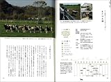 ひつじにあいたい 画像