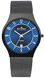 Black Friday Skagen Men039s 233XLTMNC Titanium Blue Dial Titanium Watch Best Offer