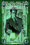 cover of Angel After the Fall #12