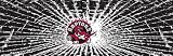 Toronto Raptors Shattered Auto Rear Window Decal