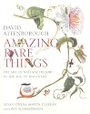Amazing Rare Things: The Art of Natural History in the Age of Discovery
