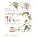 Amazing Rare Things: The Art of Natural History in the Age of Discovery