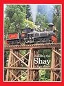 Building the Shay