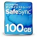 Trend Microオンラインストレージ SafeSync 100GB
