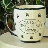 CATS The Original Laptop