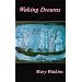 Waking Dreams