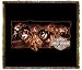 Harley-Davidson&reg; Motorcycles Wolf Ride Throw Blanket