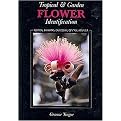Tropical & Garden Flower Identification (Florida, Bahamas, Caribbean, Central America) (Illustrated) (Paperback)
