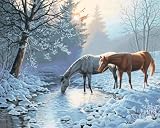 Dimensions Needlecrafts Paintworks Paint By Number, Frosty Morning Horses