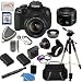 Canon EOS Rebel T4i Digital Camera with EF-S 18-135mm f/3.5-5.6 IS STM Lens + Canon EF 50mm f/1.8 II Lens + Wide Angle & Telephoto Lens, Filters, 16GB SDHC Memory Card, Card Reader, Case, 2 Replacement Batteries and Rapid Travel Charger