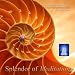 The Peaceful Sound of The Classical Indian Flute With Vivek Sonar
