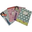 Nouvelles Images Novelty Set of 4 Small Notebooks