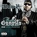 That's Gangsta [Feat. Sean Kingston] (Explicit Album version)