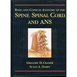 basic and clinical anatomy of the spine spinal cord and ans