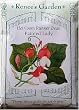 Runner Beans Heirloom Painted Lady Seeds 18 Seeds
