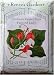 Runner Beans Heirloom Painted Lady Seeds 18 Seeds