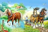 from The Emporium Puzzles Big 250 Piece Horses Jigsaw Puzzle - Gentle Giants