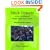 Stick Insects of the Continental United States and Canada: Species and Early Studies