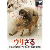 ウリざる　福知山市動物園　     子ざるとウリ坊の友情物語