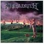Youthanasia